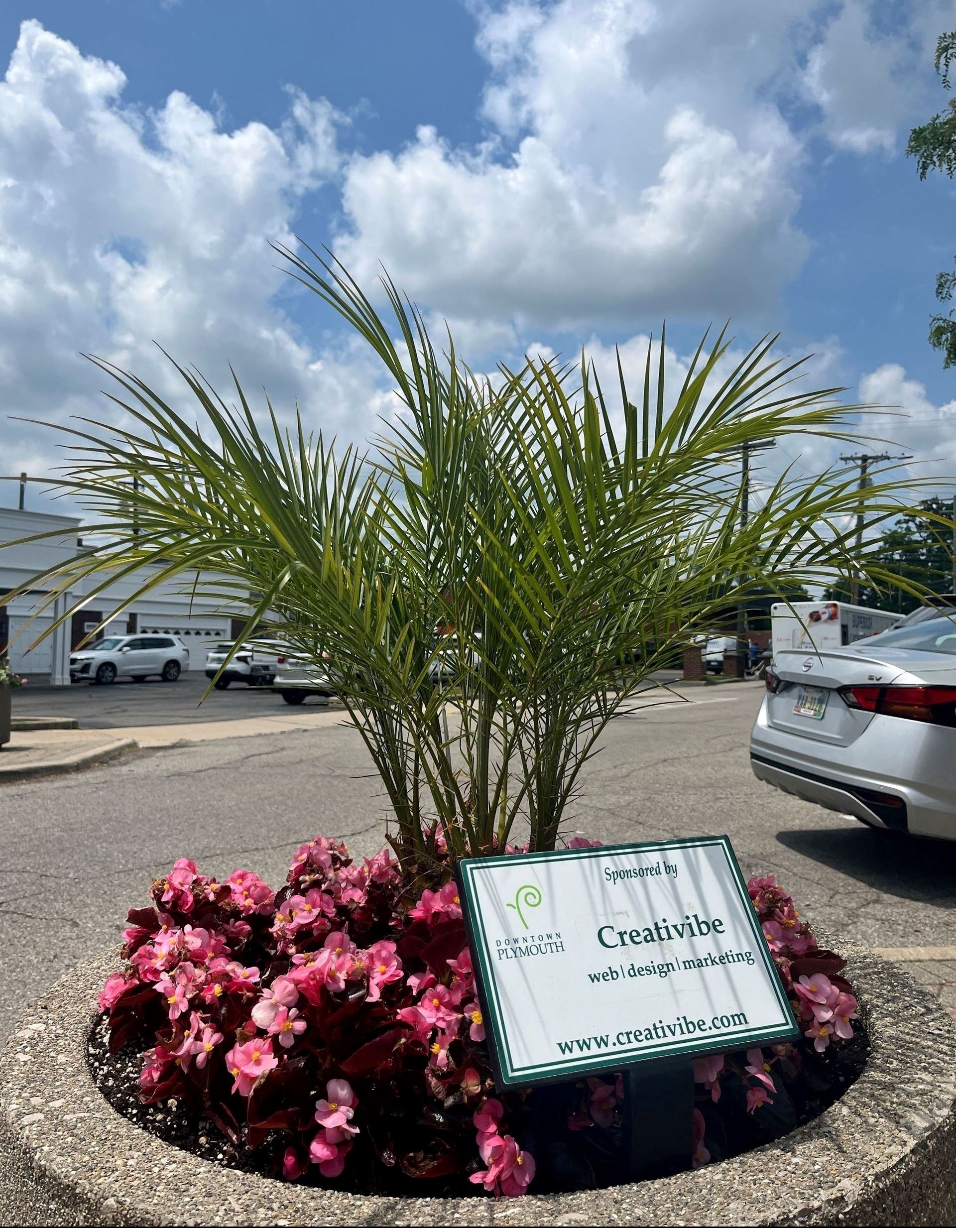 Creativibe Main Fralick